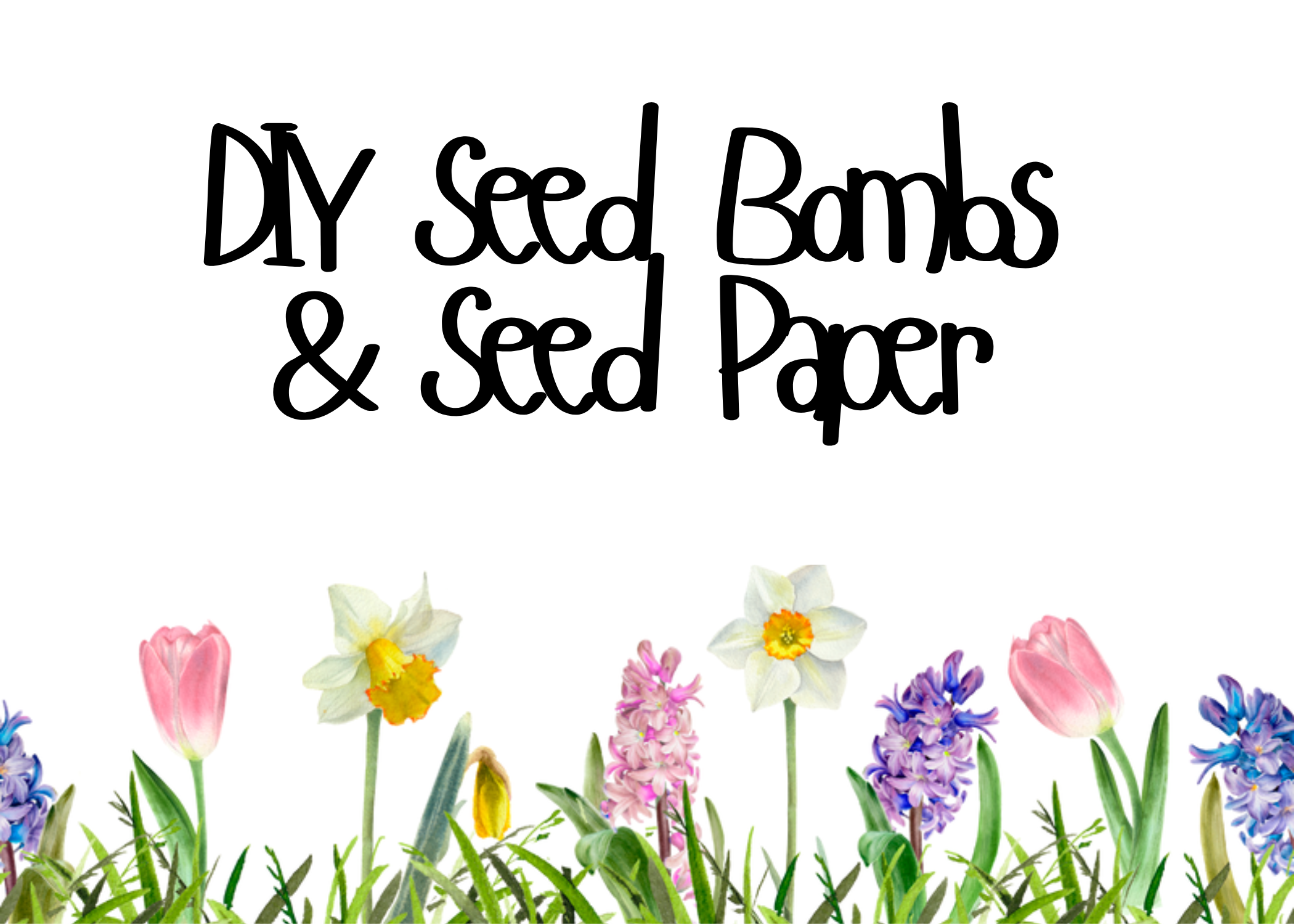 Seed Bomb