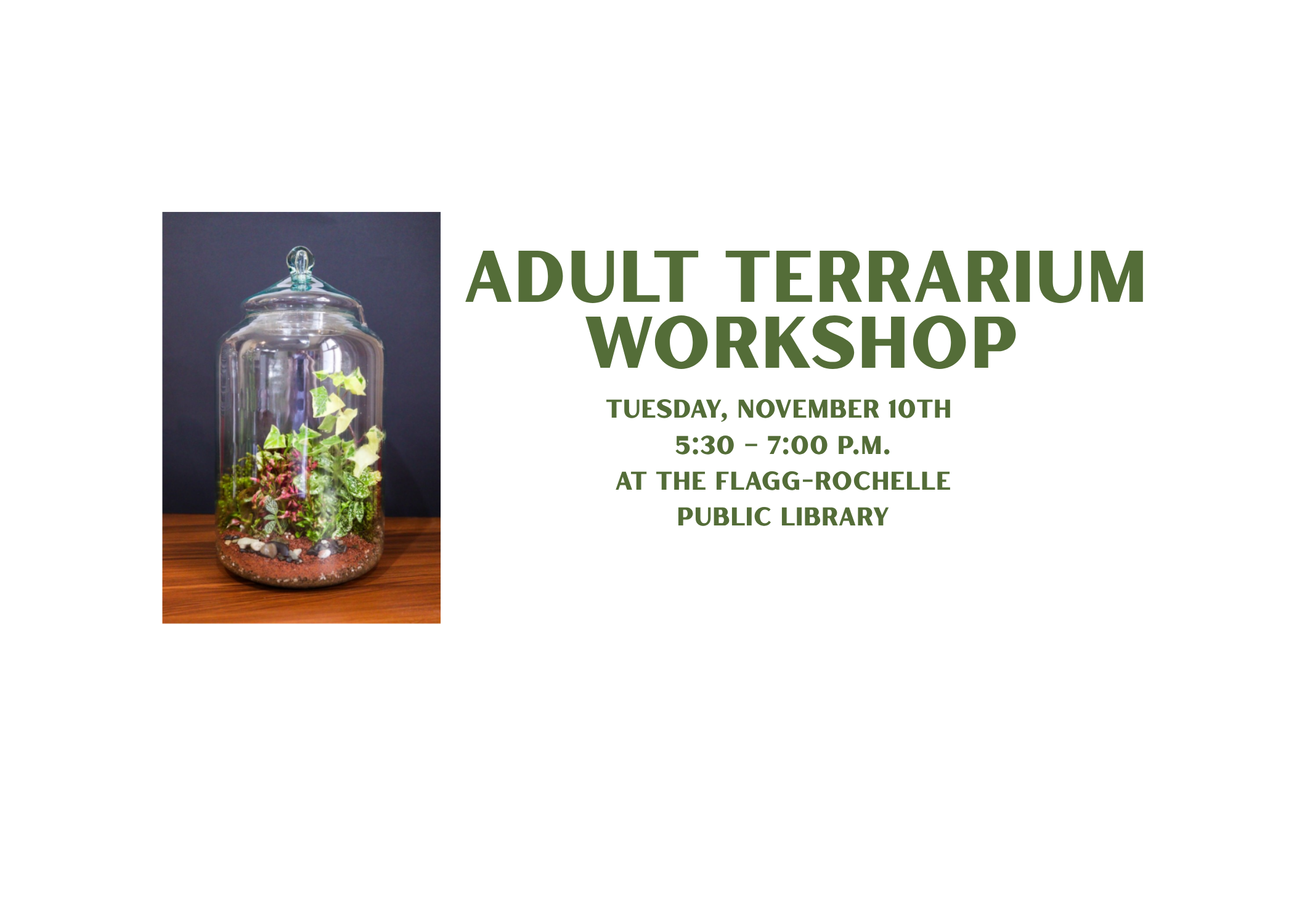 Adult Terrarium