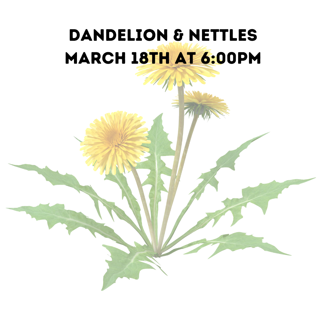 Dandelion & Nettles 