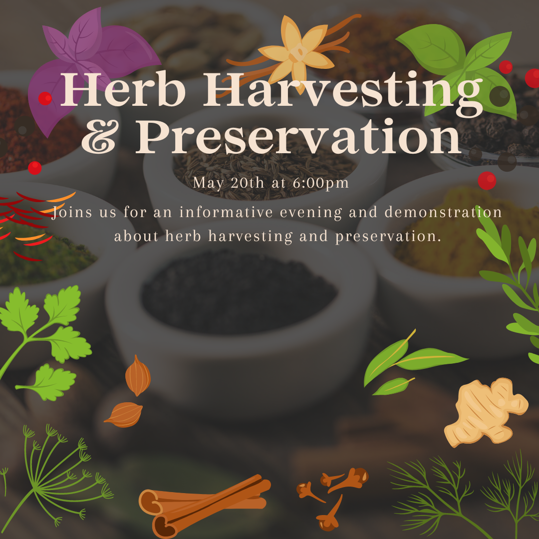 Herb Harvesting & Preservation