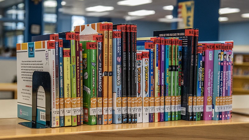 Donated books, DVDs and audio books on a shelf in the Flagg-Rochelle Public Library